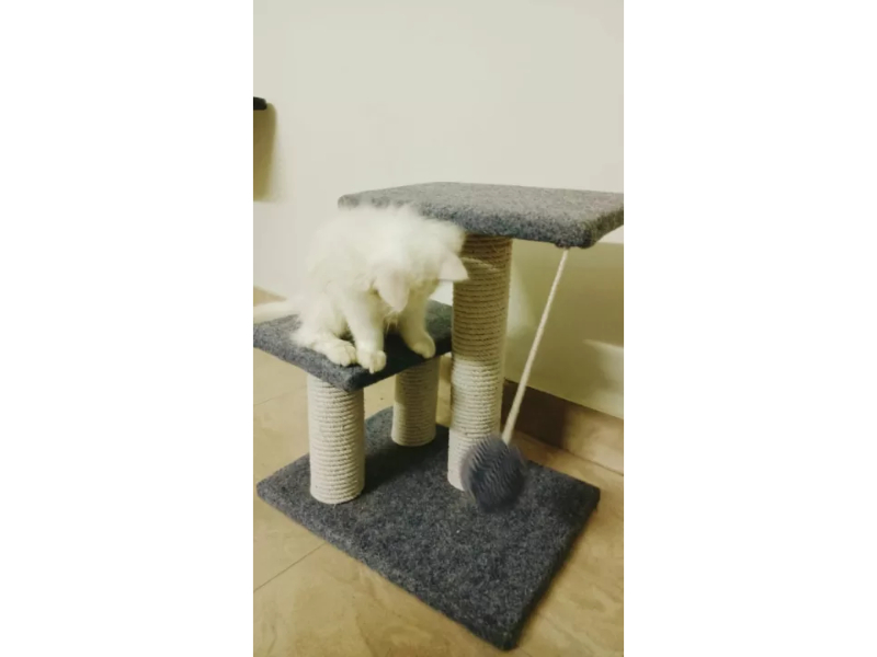 3-Layer Cat Climbing Tree Scratching Post Board And Hanging Toy - Image 7