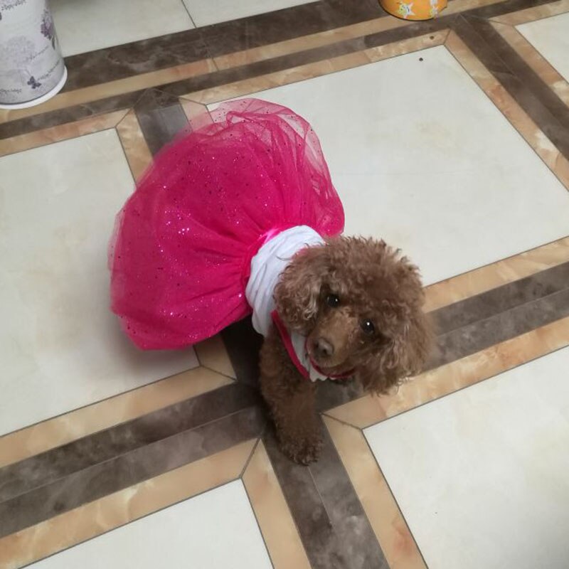 Cat/Dog Clothes Red Heart Cat Dress Skirt Wedding Dresses Spring - Image 5