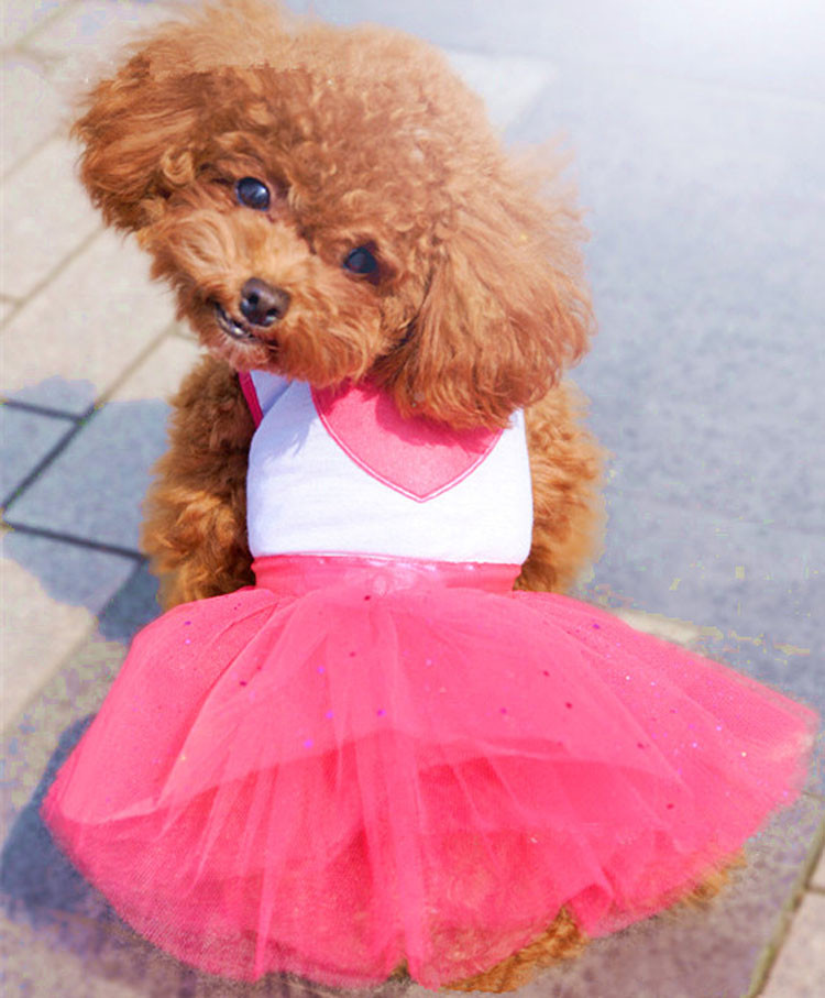 Cat/Dog Clothes Red Heart Cat Dress Skirt Wedding Dresses Spring - Image 8