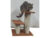 3-Layer Cat Climbing Tree Scratching Post Board And Hanging Toy